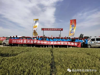 520 我們相聚在君品小麥科技園